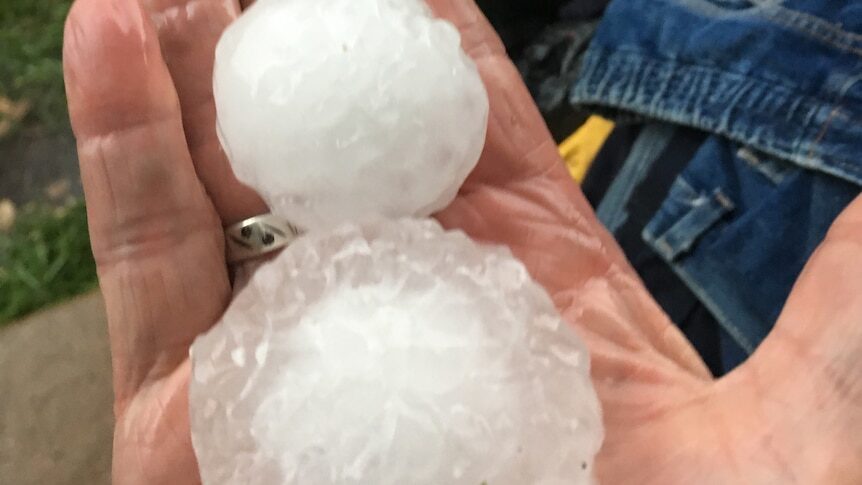 Hail that fell during the Coolah storm on Saturday was almost the size of a tennis ball.