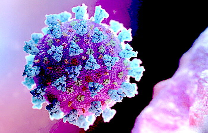 coronavirus image