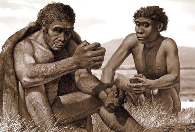 Homo Bodoensis