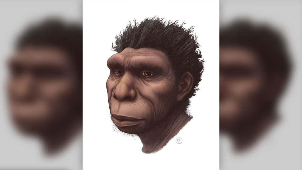 Homo Bodoensis2