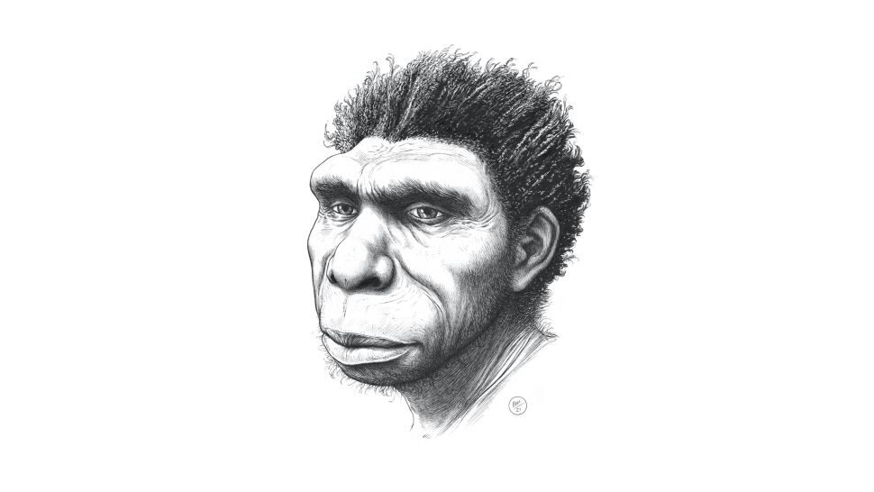 Homo Bodoensis3