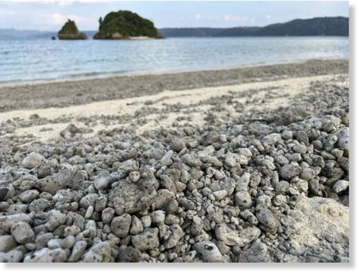 A beach covered in pumice after an underwater volcanic eruption.