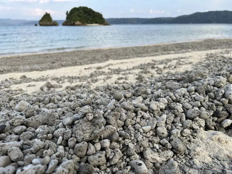 A beach covered in pumice after an underwater volcanic eruption.