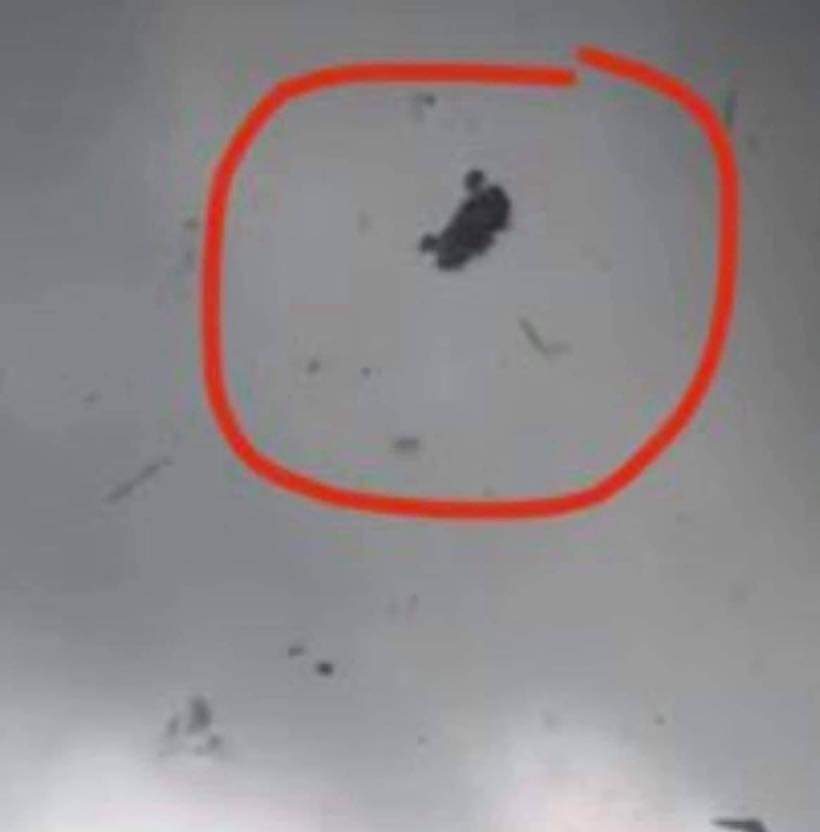 Click to enlarge A tornado was caught on video near the Louisiana-Texas state line tossing an ATV into the air over a roadway.