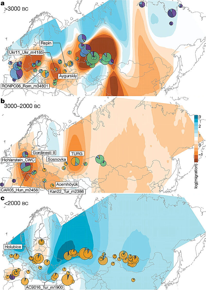 Click to enlarge horse domestication russia