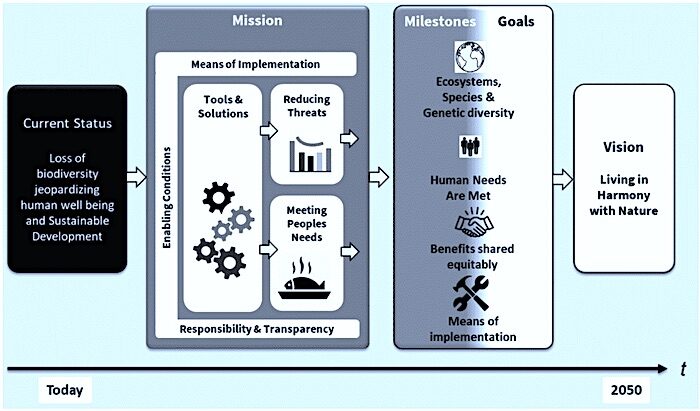 Click to enlarge diagram of change