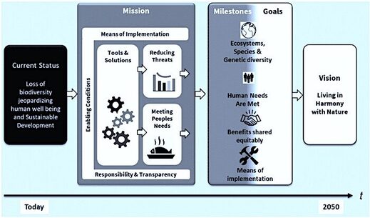 diagram of change