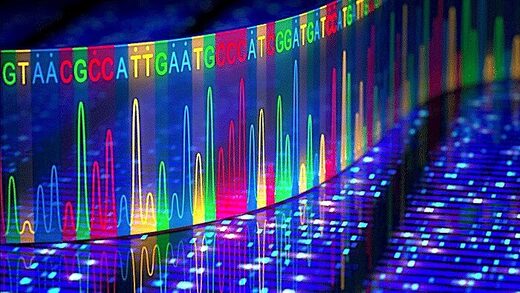 DNA model
