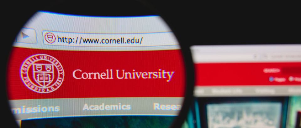 cornell university