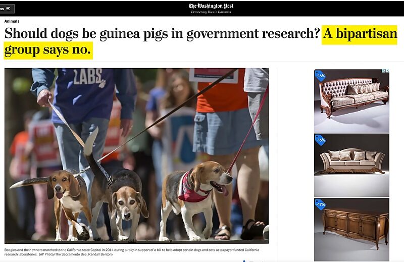 Washington Post dog experiments