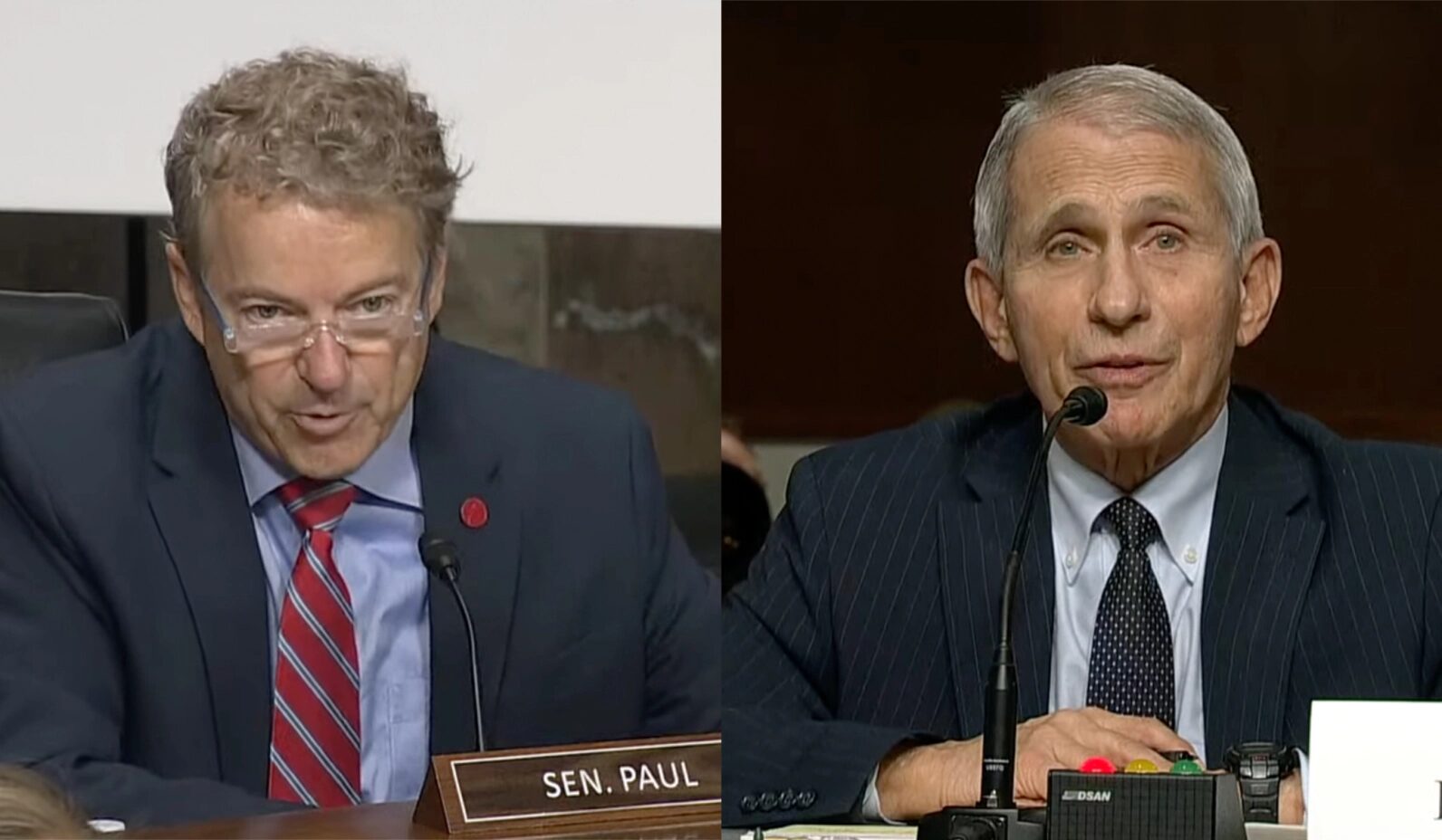 rand paul anthony fauci