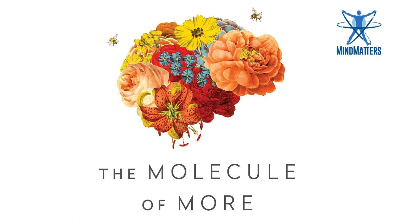 molecule more