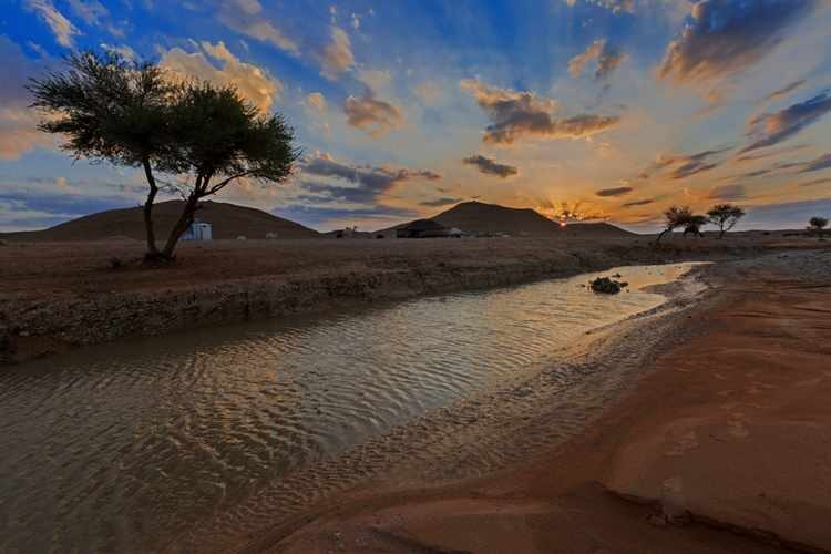 Click to enlarge Oasis