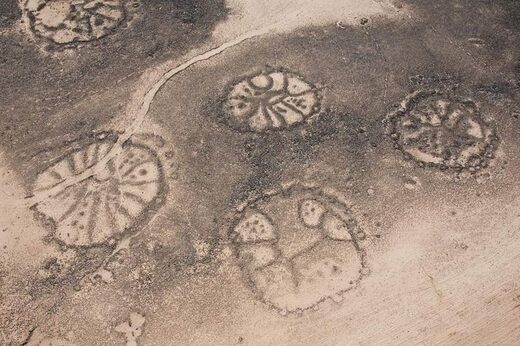 More desert kites found hidden in sands of Saudi Arabia More desert kites found hidden in sands of Saudi Arabia
