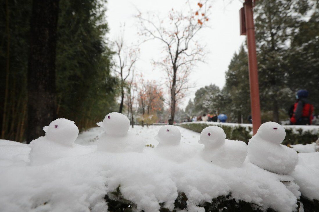 Snow ducks in a Beijing street on Sunday morning.