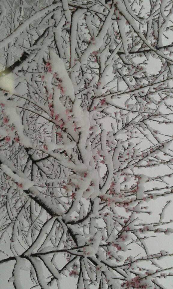 Click to enlarge snow