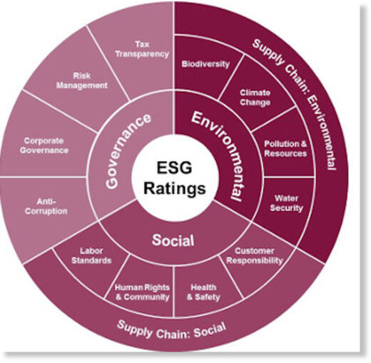 Click to enlarge Stakeholder Capitalism Metrics