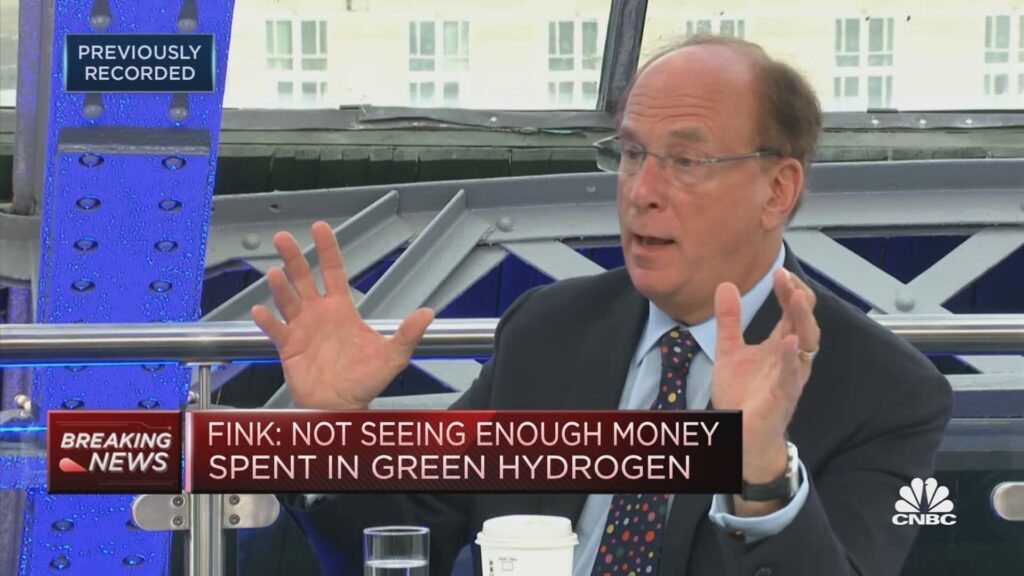 BlackRock CEO and GFANZ principal Larry Fink