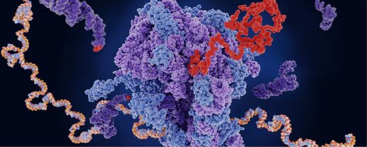Click to enlarge RNA molecules