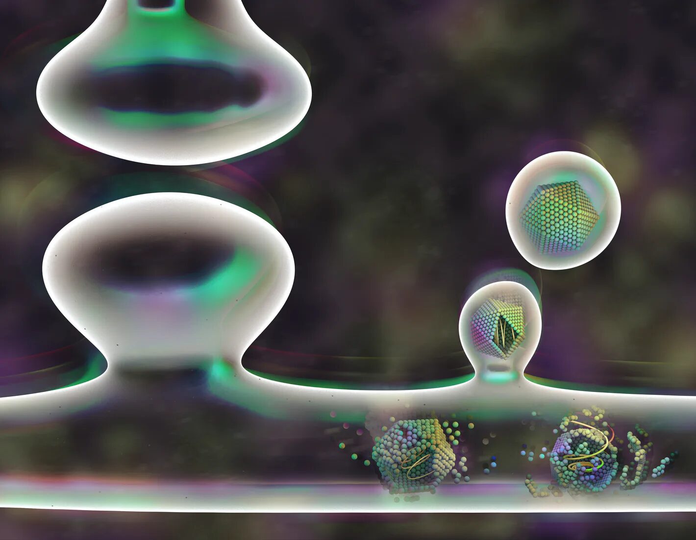 Click to enlarge virus infect cell