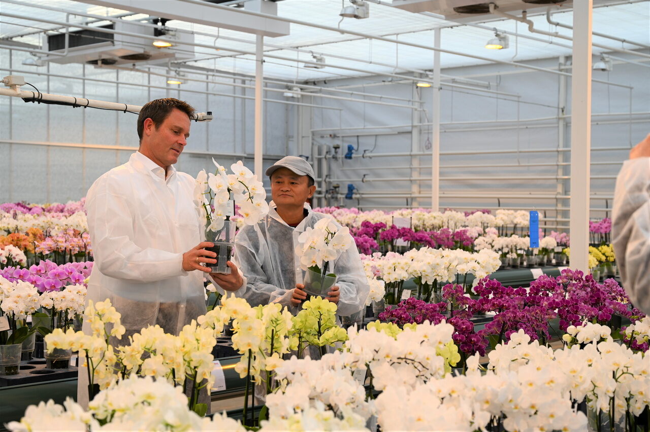 Click to enlarge Jack Ma