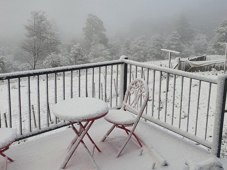 Click to enlarge It was a snowy start to the day at Kaoota, south of Hobart.