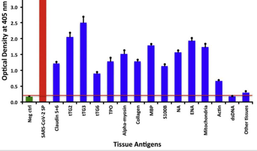 Cross reactivity spike protein