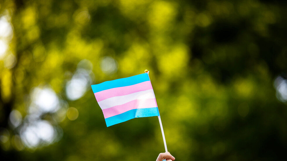 transgender flag
