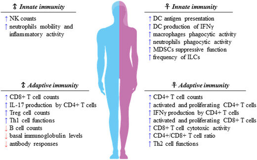 Click to enlarge Sex difference in immune function