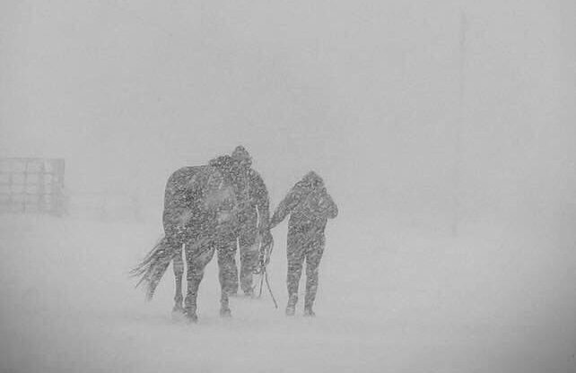 Click to enlarge On Tuesday afternoon, the City of Regina announced it is going into 'storm mode' as Environment Canada warns of blizzard-like conditions across southern Saskatchewan