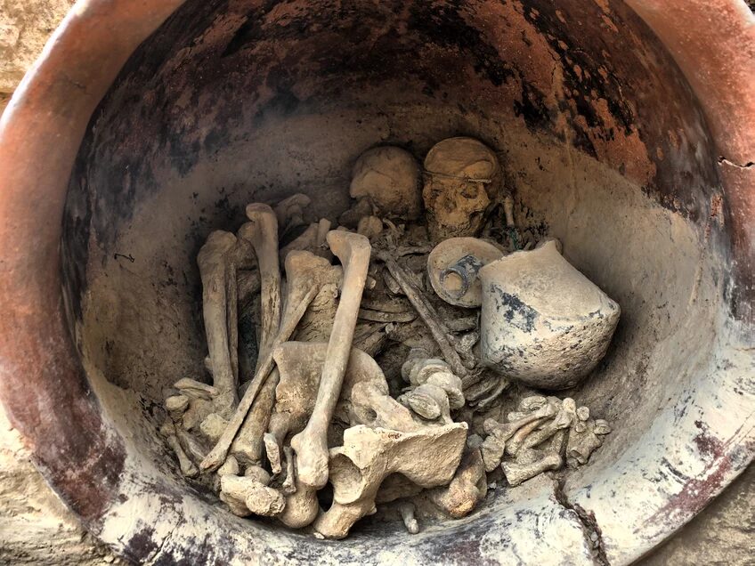 Click to enlarge Ancient Skeletons