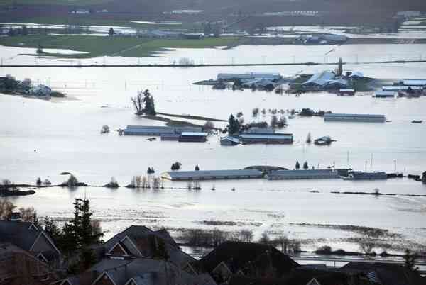 Click to enlarge The flooded Sumas Prairie in Abbotsford, British Columbia on Nov. 17.