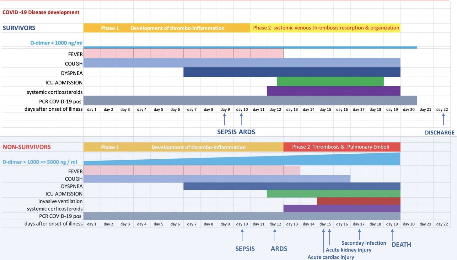 Click to enlarge covid disease development