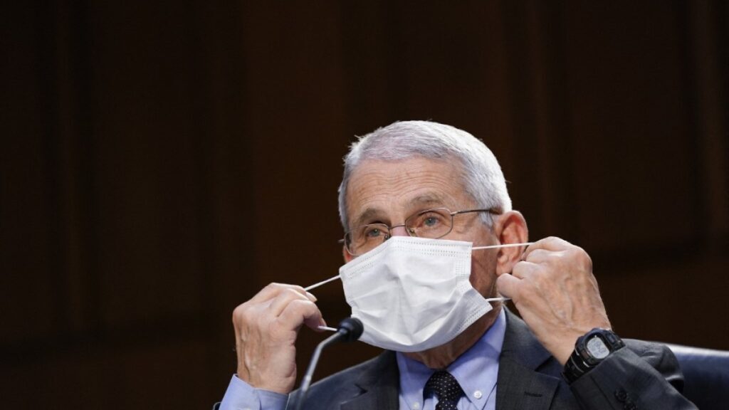 Tony Fauci mask