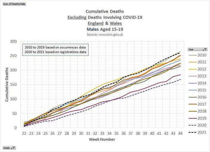 Click to enlarge cumulative data