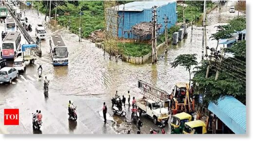 Four lakes in north Bengaluru overflow, flood adjacent areas