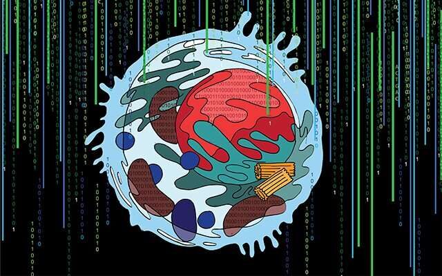 cell