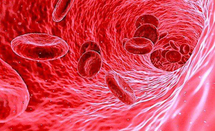 Blood Cells