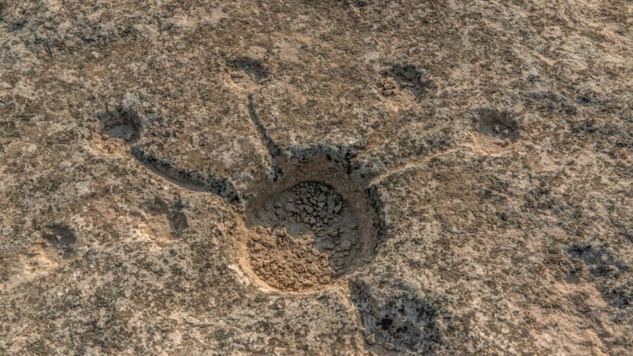petroglyph