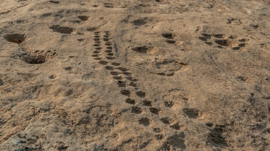 Click to enlarge petroglyph