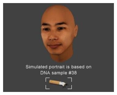Simulated Potrait