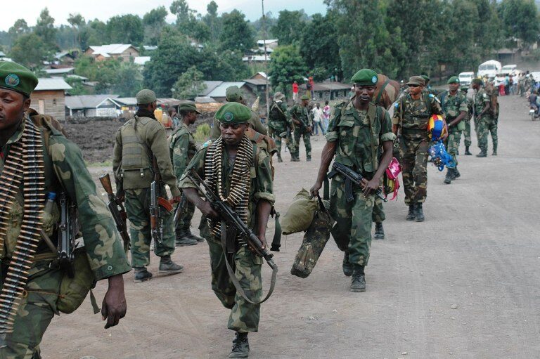 The Congolese National Armed Forces (FARDC) in 2013