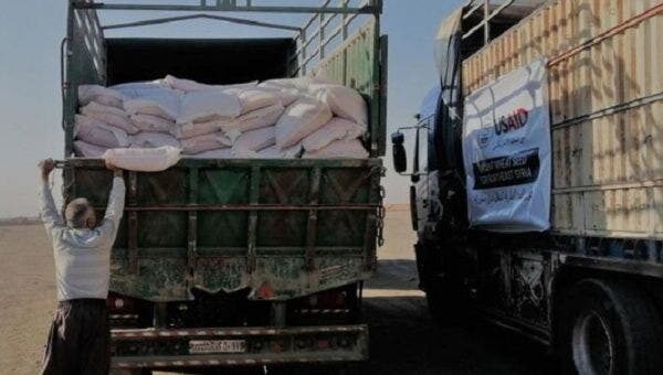 Click to enlarge USAID Wheat Syria