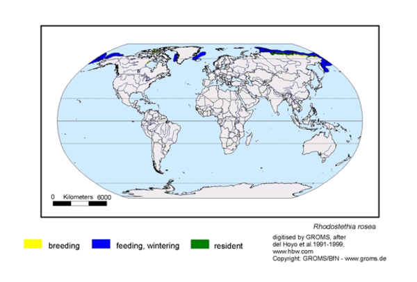 Distribution map