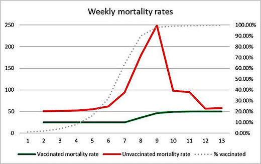 weekly mort rates chart
