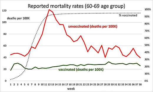 reported mortality rates chart