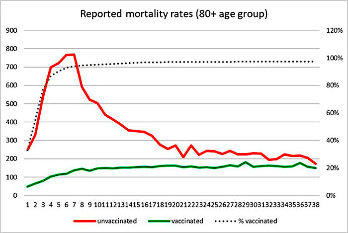 Mort rates 80+