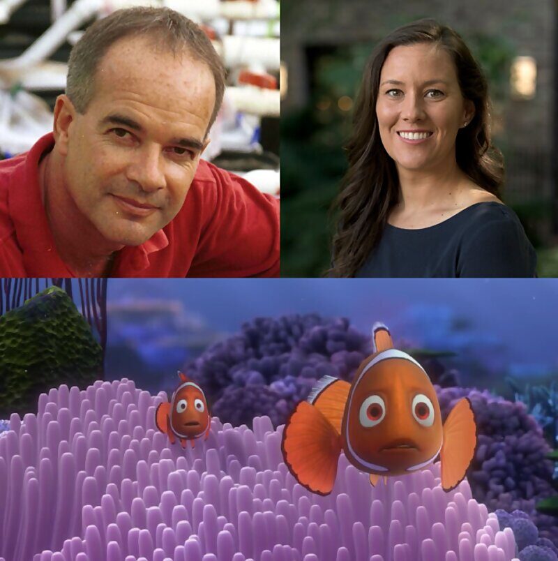 Click to enlarge marine biologists finding nemo Munday Dixson