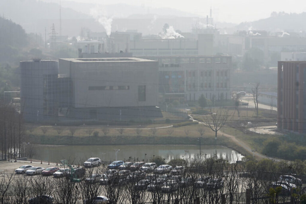 Click to enlarge Wuhan lab conspiracy bad science