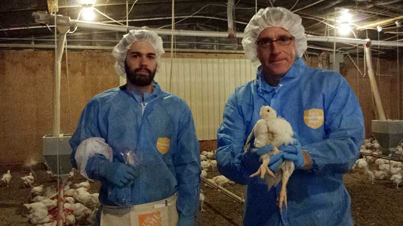 Andrew Read (at right) and his research assistant Chris Gaines, both of the Pennsylvania State University Center for Infectious Disease Dynamics
